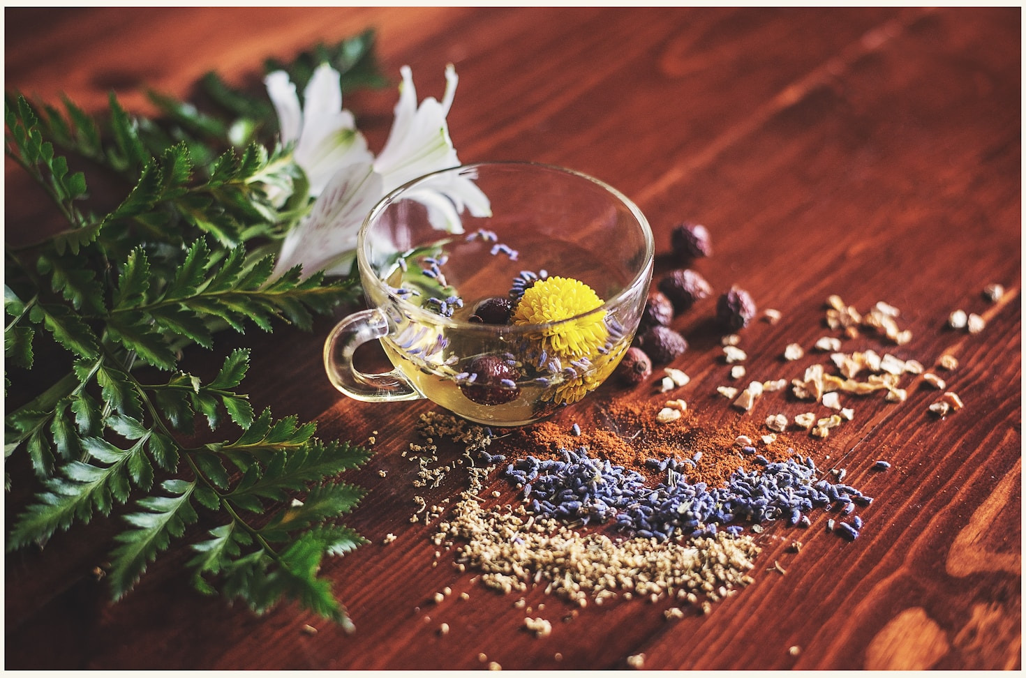 The Healing Power of Traditional Herbal Medicine